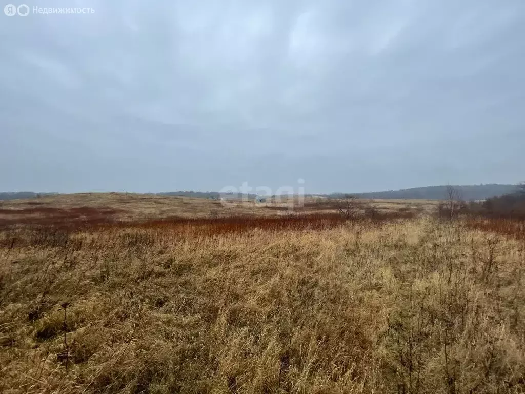 Участок в Калининградская область, Зеленоградский муниципальный округ, ... - Фото 1