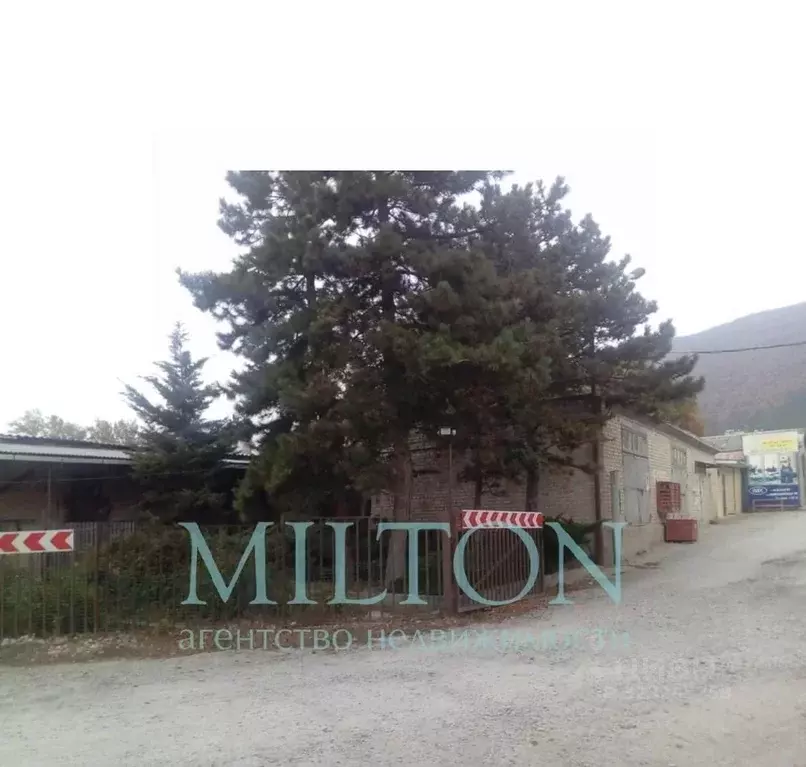 Помещение свободного назначения в Краснодарский край, Геленджик ... - Фото 2