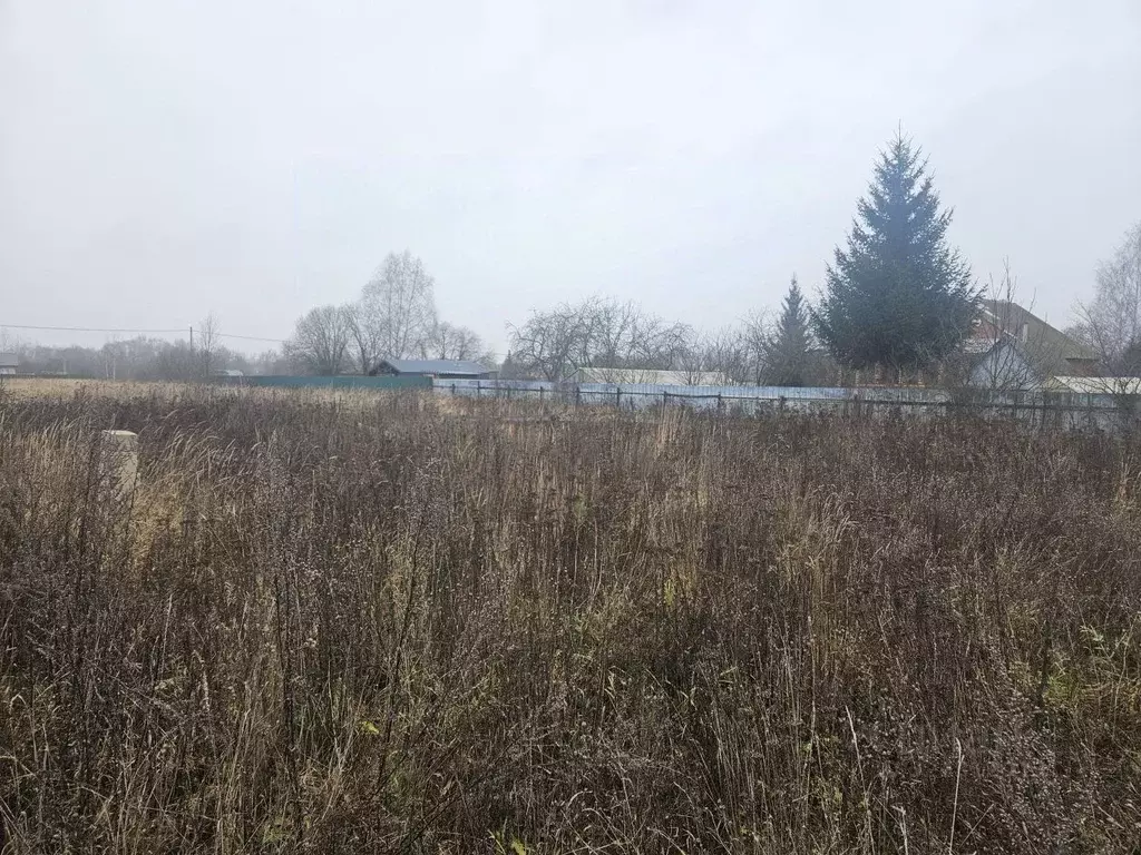 Участок в Московская область, Воскресенск городской округ, д. ... - Фото 2