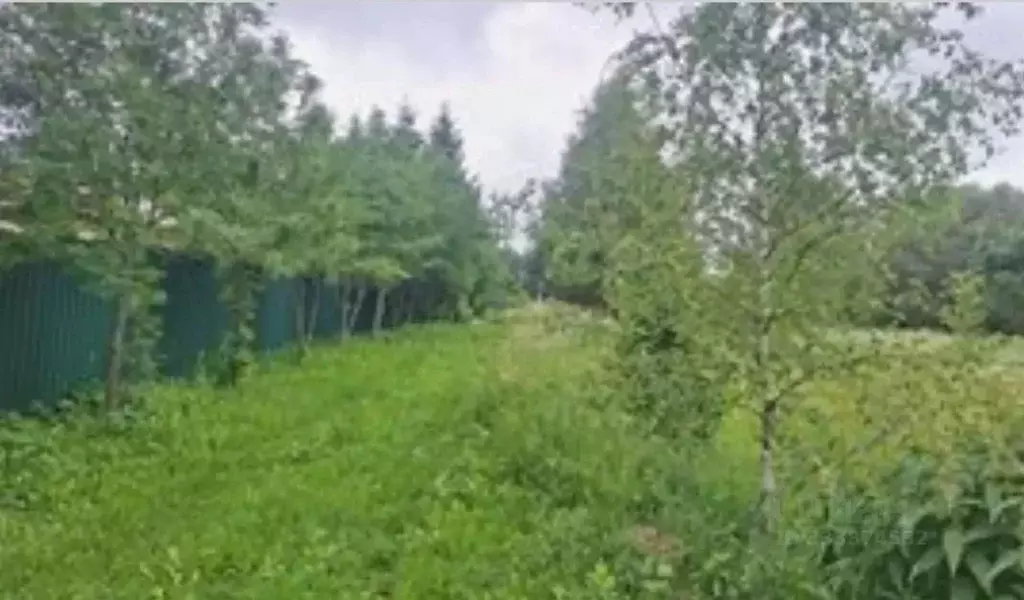 Участок в Калужская область, Медынский муниципальный округ, д. ... - Фото 2