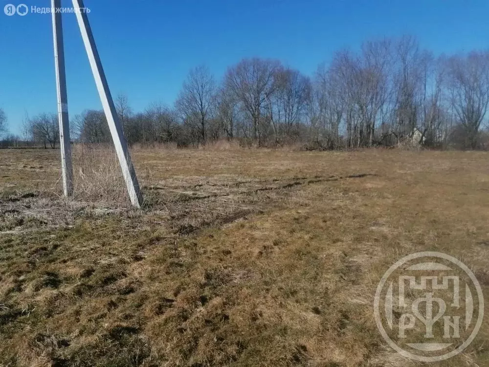 Участок в Толмачёвское городское поселение (19 м) - Фото 1