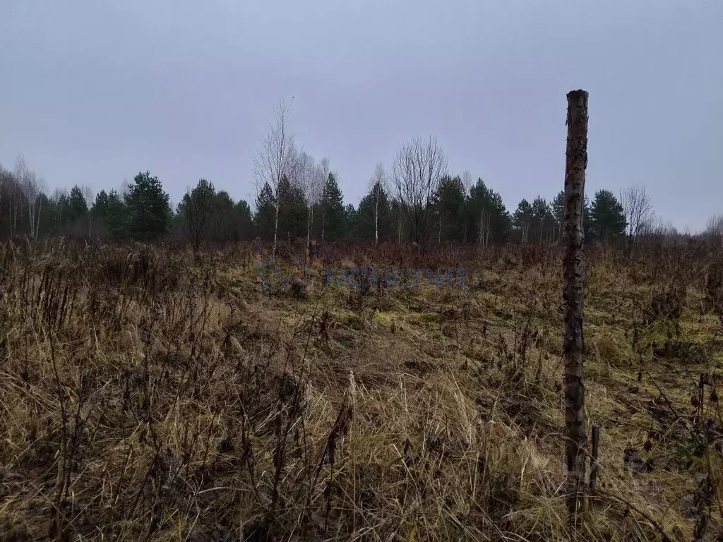 Участок в Нижегородская область, Городецкий муниципальный округ, с. ... - Фото 1