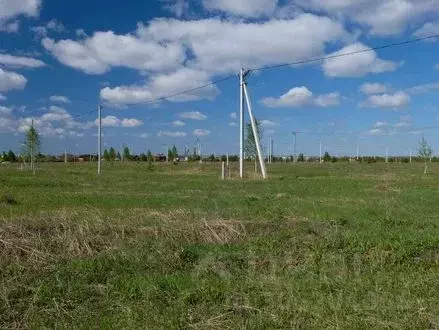 Участок в Татарстан, Казань Любитель природы-2 СНТ, 4 (6.0 сот.) - Фото 0