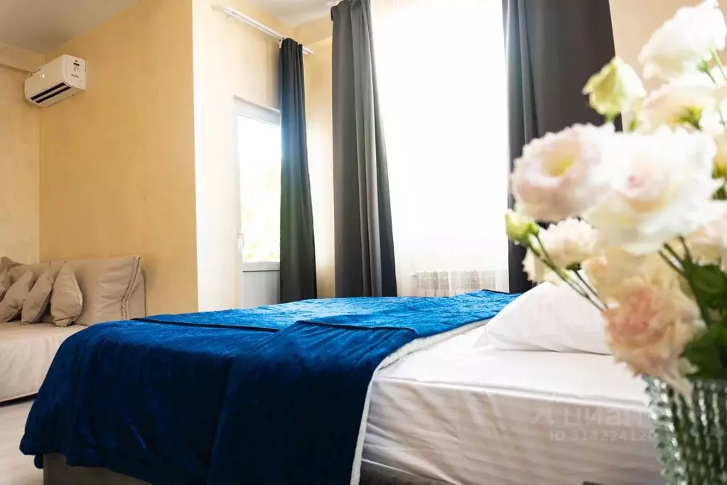 1-к кв. Краснодарский край, Сочи ул. Чекменева, 18 (36.0 м) - Фото 1