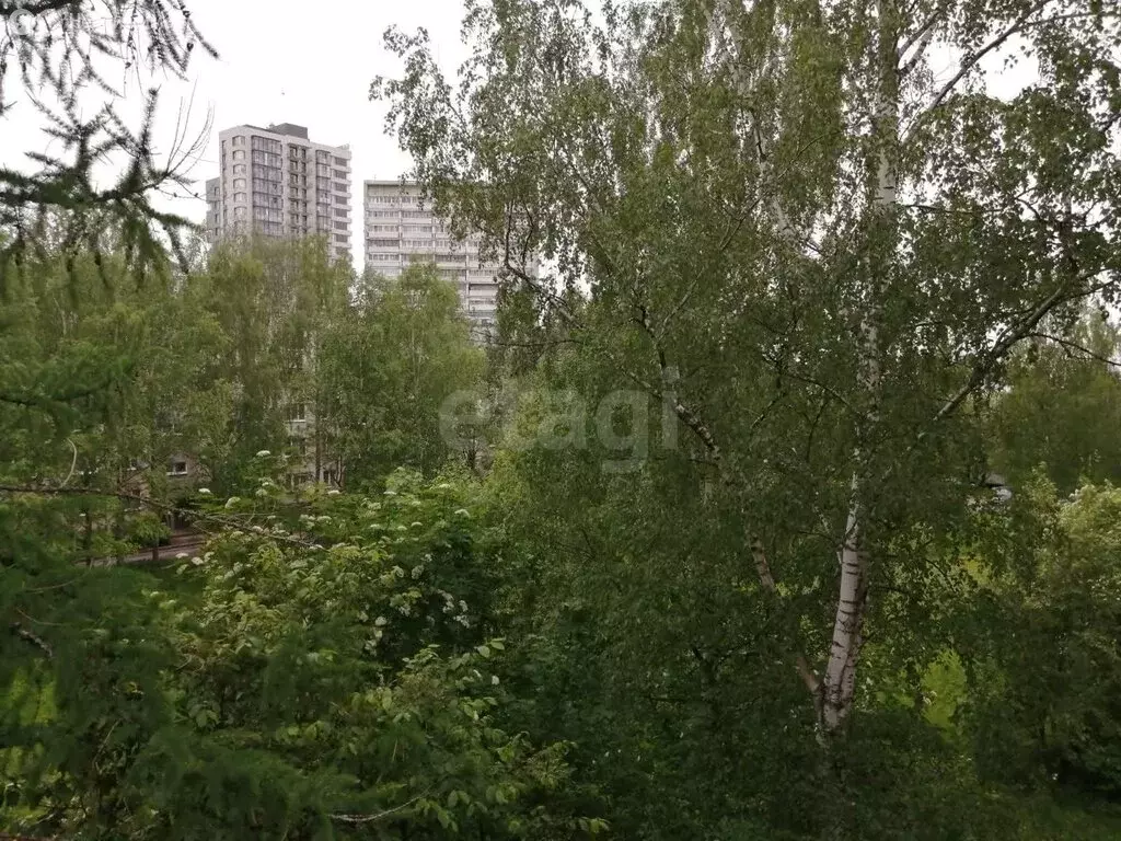 1-комнатная квартира: Петрозаводск, улица Генерала Фролова, 4 (37 м) - Фото 1