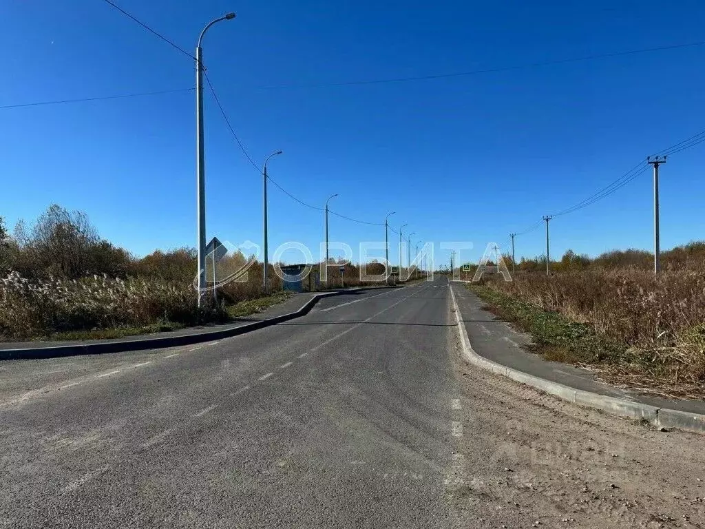 Участок в Тюменская область, Тюмень Царево садовое товарищество, ул. ... - Фото 1