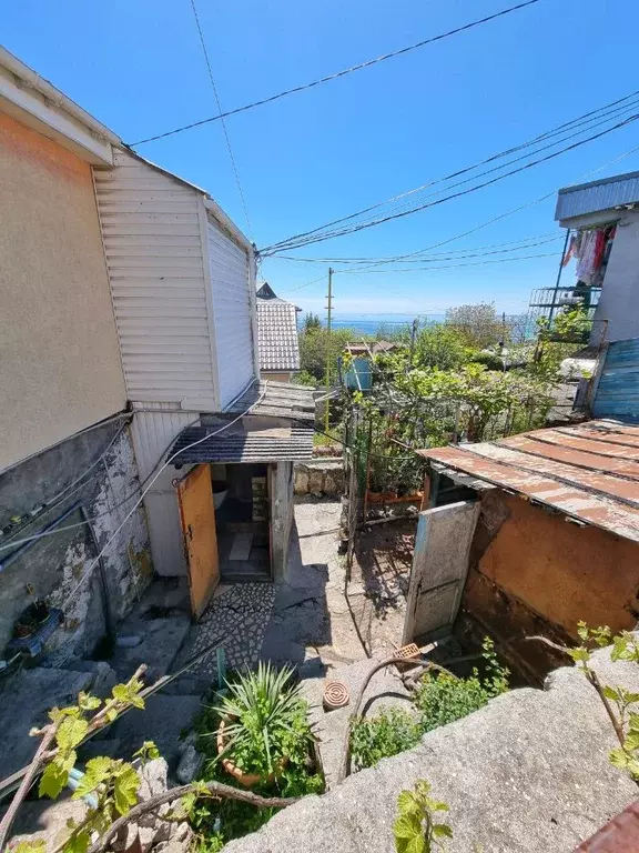 1-к кв. Крым, Алупка Ялта городской округ, ш. Севастопольское, 11 ... - Фото 1