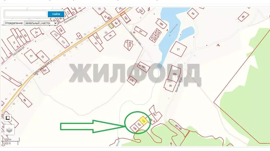 Участок в Новосибирская область, Тогучинский район, с. Карпысак ул. ... - Фото 2