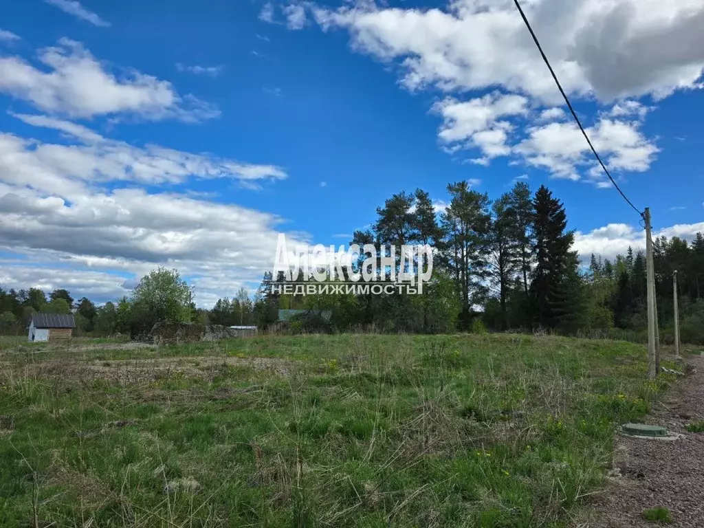 Участок в Ленинградская область, Приозерский район, Мельниковское ... - Фото 0