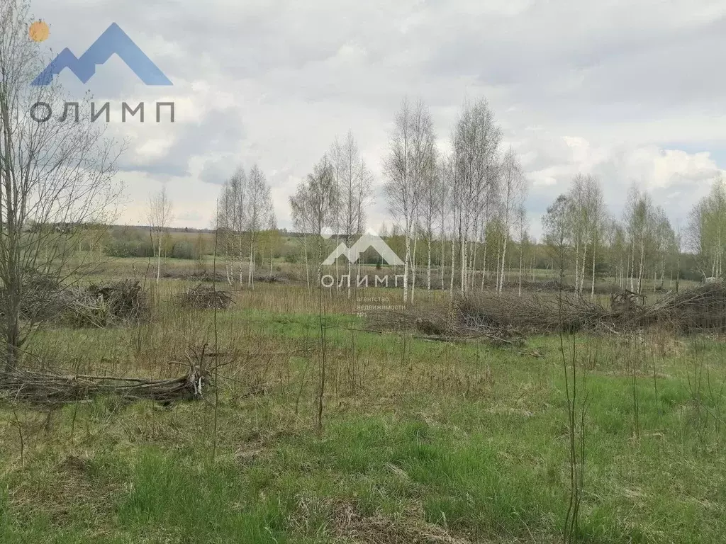 Участок в Вологодская область, д. Тимофеевское ул. Просторная, 17 ... - Фото 0