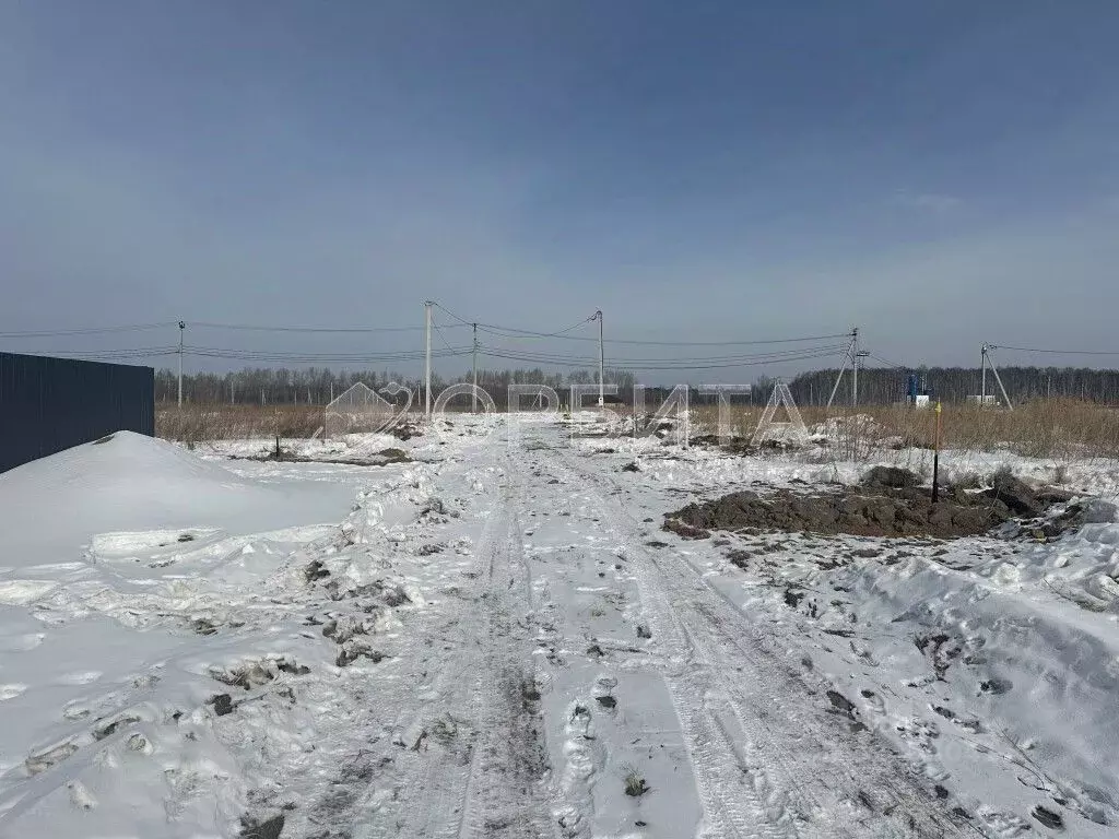 Участок в Тюменская область, Тюменский муниципальный округ, с. ... - Фото 2