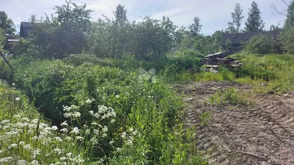 Участок в Санкт-Петербург Дачное Электроавтоматика СНТ, аллея Угловая ... - Фото 1