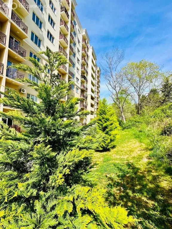 1-комнатная квартира: Сочи, микрорайон Мацестинская Долина, ... - Фото 2