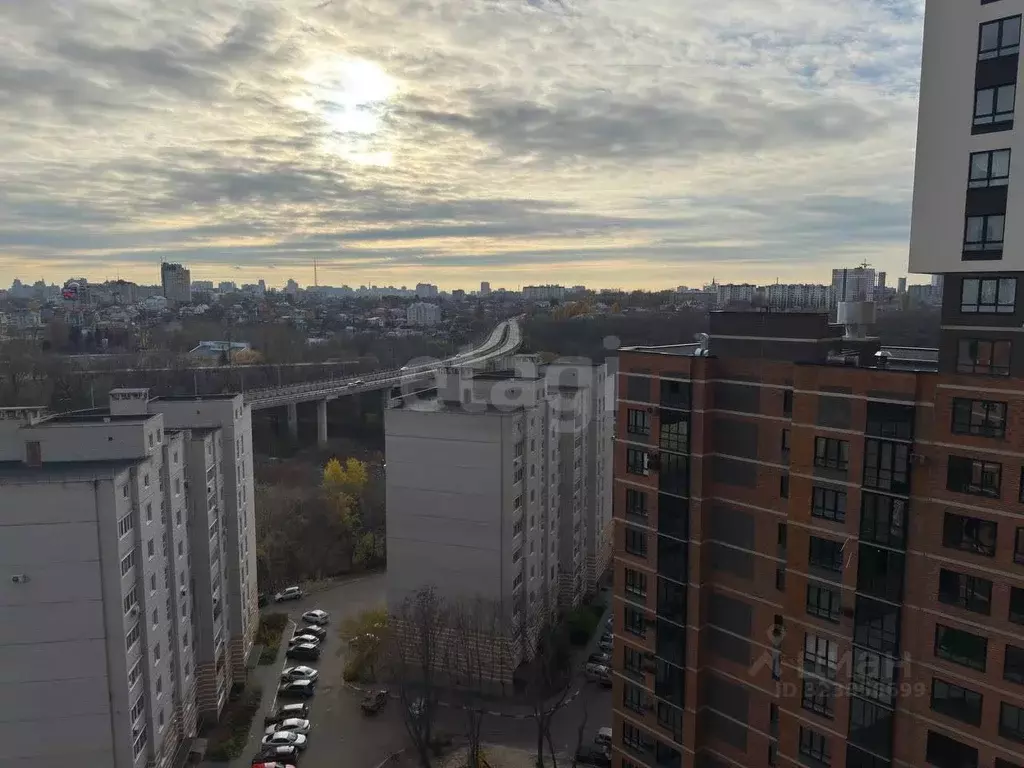 3-к кв. Воронежская область, Воронеж ул. Березовая Роща, 4А (95.1 м) - Фото 1