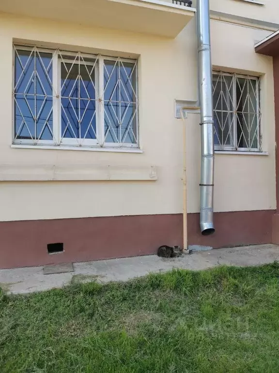 Помещение свободного назначения в Ленинградская область, Всеволожский ... - Фото 2