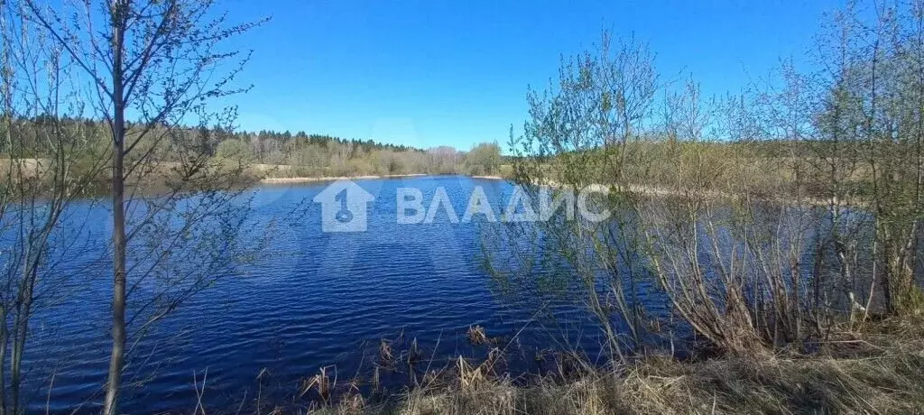 Участок 12 сот. (личное подсобное хозяйство (лпх)) - Фото 0