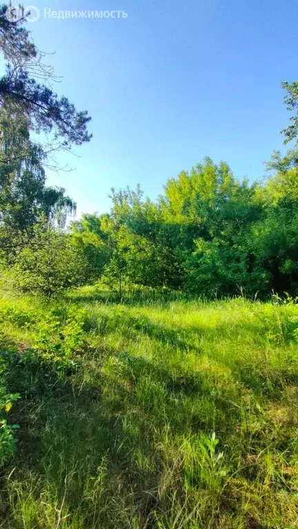 Участок в деревня Ванина, улица Комарёвка (1500 м) - Фото 0
