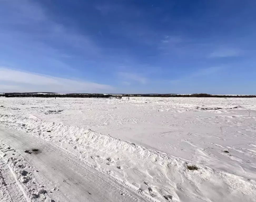 Участок в Иркутская область, Иркутский муниципальный округ, с. ... - Фото 1