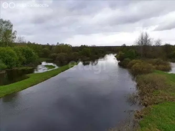 Дом в Рогнединский район, Шаровичское сельское поселение, деревня ... - Фото 2