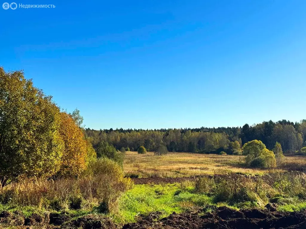 Участок в Московская область, Дмитровский муниципальный округ, КП ... - Фото 1