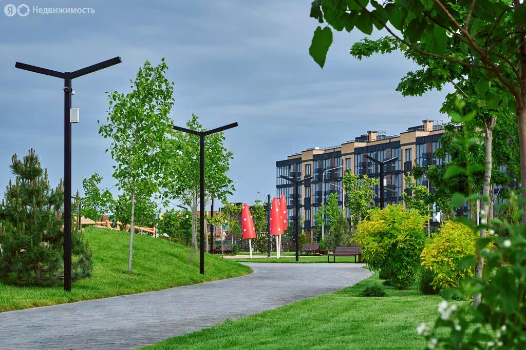 1-комнатная квартира: Краснодар, микрорайон Новая Елизаветка, улица ... - Фото 1