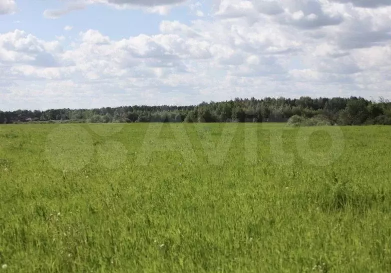 Участок 29,48 га (ИЖС) - Фото 0
