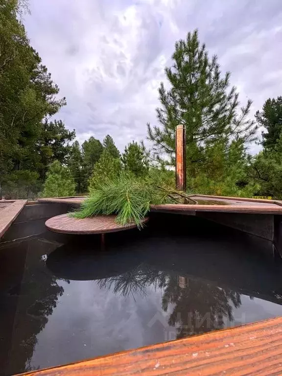 Дом в Новосибирская область, Болотнинский район, д. Кустово  (54 м) - Фото 1