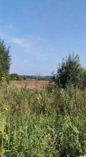 Участок в Московская область, Можайский муниципальный округ, д. Холм  ... - Фото 1