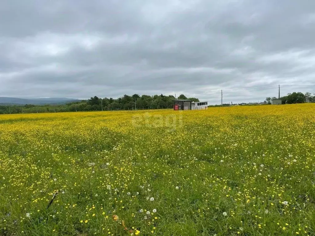 Участок в Сахалинская область, Южно-Сахалинск городской округ, с. ... - Фото 1