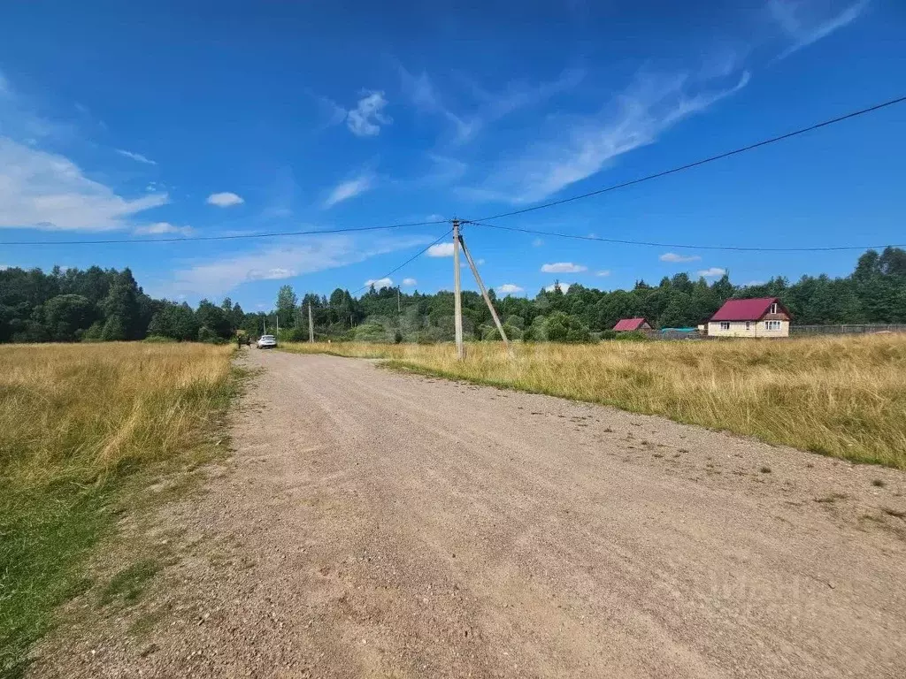 Участок в Псковская область, Струги Красные рп  (15.0 сот.) - Фото 2