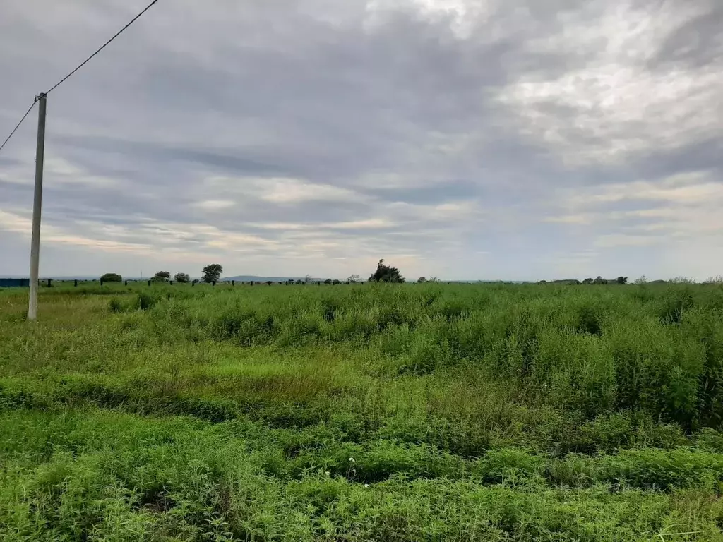 Участок в Приморский край, Уссурийский городской округ, с. Воздвиженка ... - Фото 1