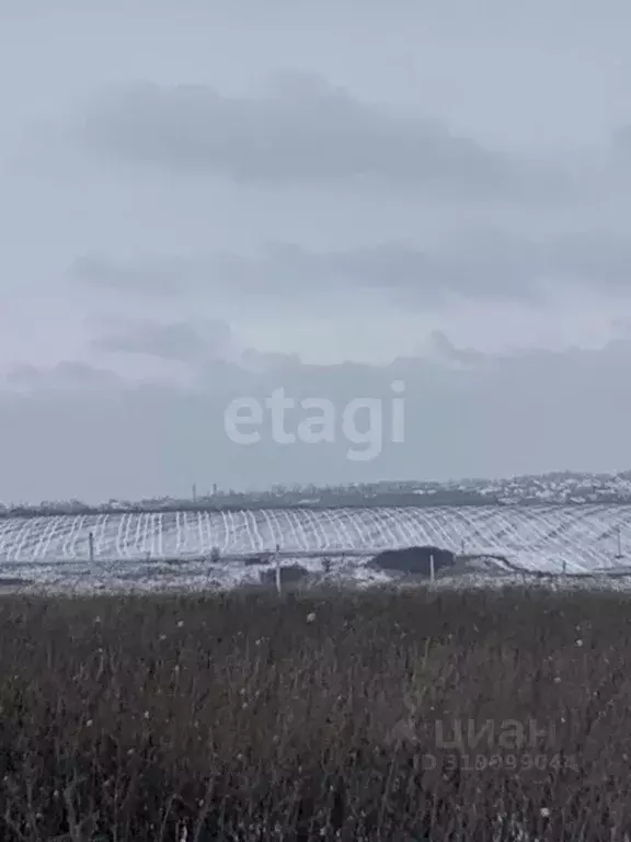 Участок в Белгородская область, Белгородский район, Головинское с/пос, ... - Фото 0