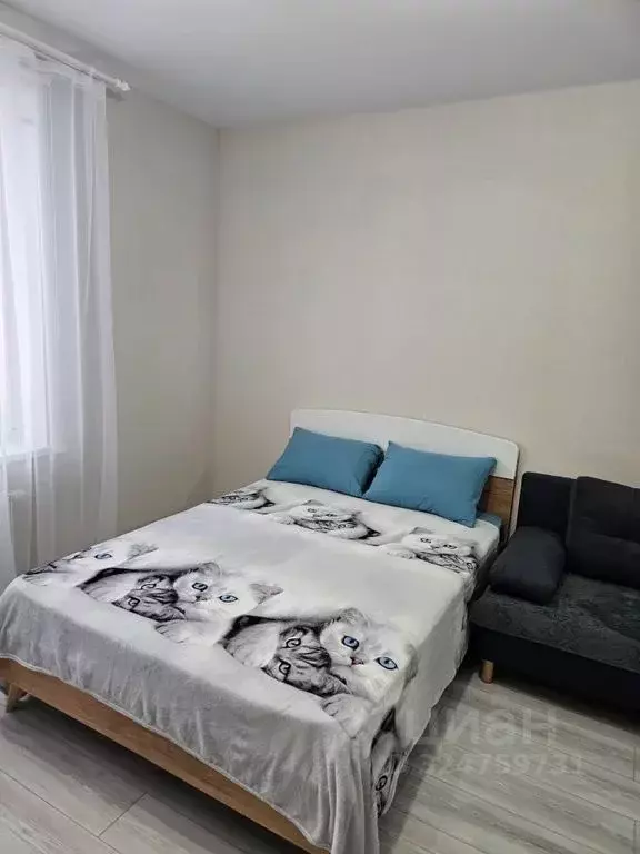 Студия Пермский край, Пермь ул. Куйбышева, 135 (21.0 м) - Фото 1