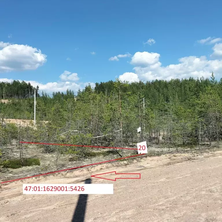 Участок в Ленинградская область, Выборгский район, Полянское с/пос, ... - Фото 2