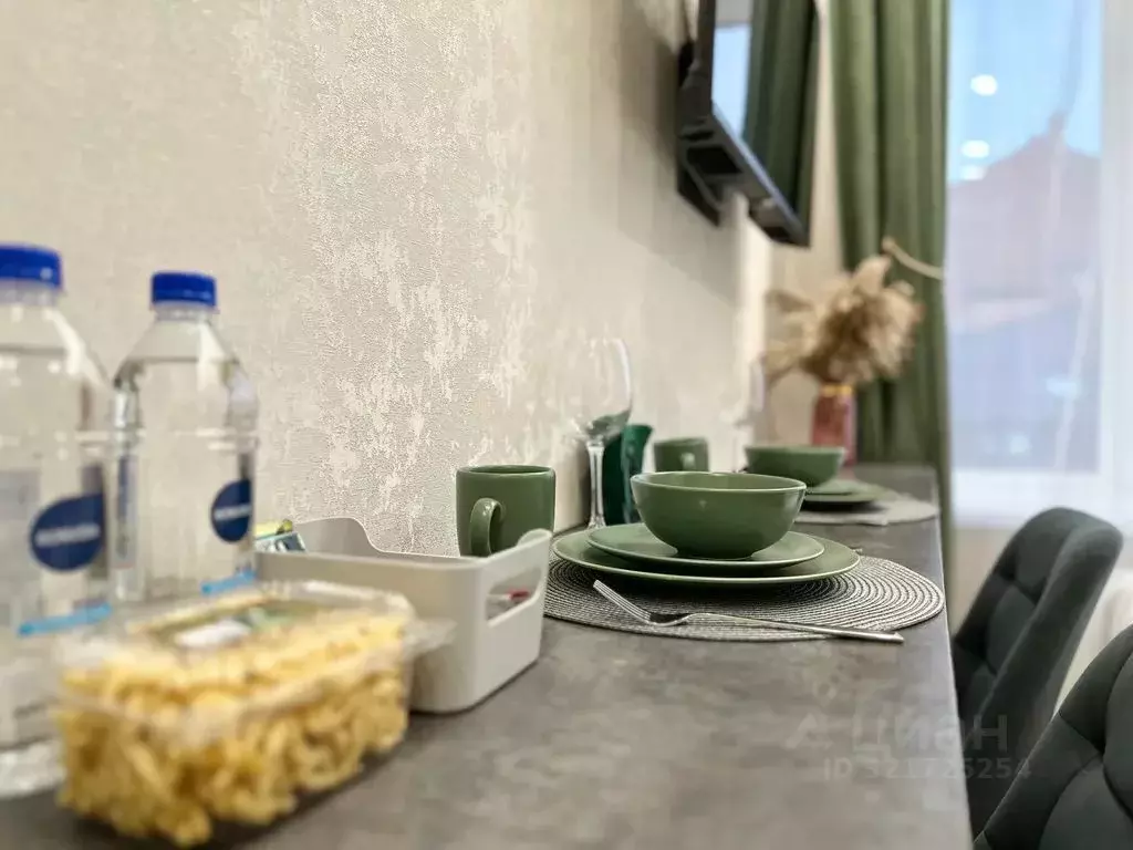 1-к кв. Татарстан, Казань ул. Карла Маркса, 5 (20.0 м) - Фото 2