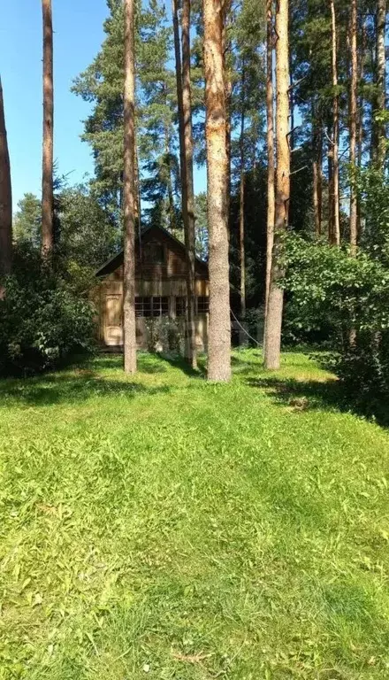 Участок в Ленинградская область, Всеволожск ул. Ломоносова, 49 (9.0 ... - Фото 1