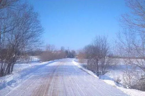 Участок в Новгородская область, Новгородский район, Борковское с/пос, ... - Фото 0