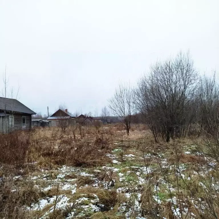 Участок в Костромская область, Шарьинский район, Зебляковское с/пос, ... - Фото 1