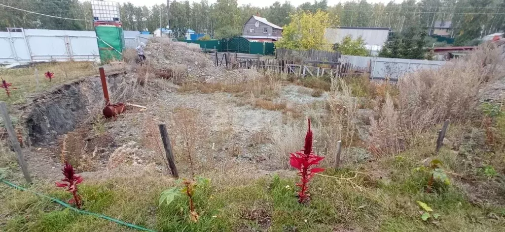 Участок в Челябинская область, Озерский городской округ, д. Новая Теча ... - Фото 1