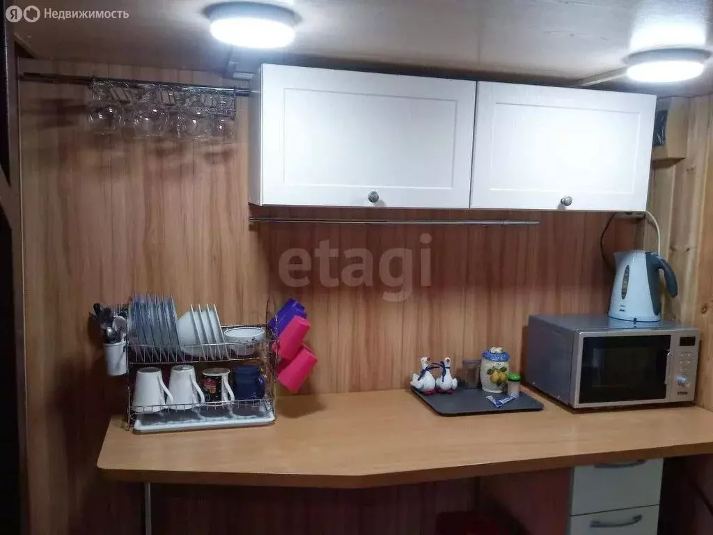 Дом в Омск, территория СОСН Заря-2, 4-я аллея (22 м) - Фото 0