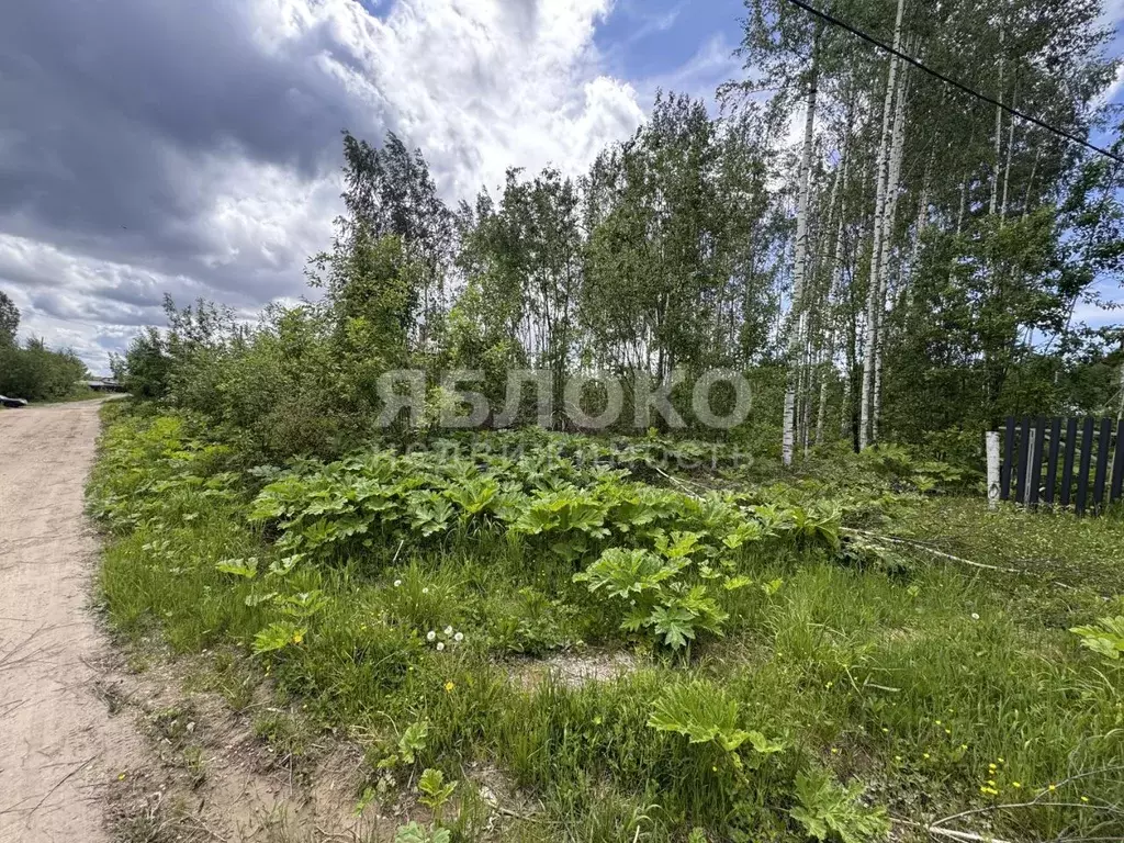 Участок в Пермский край, Березники пер. Красивый, 3 (7.1 сот.) - Фото 0