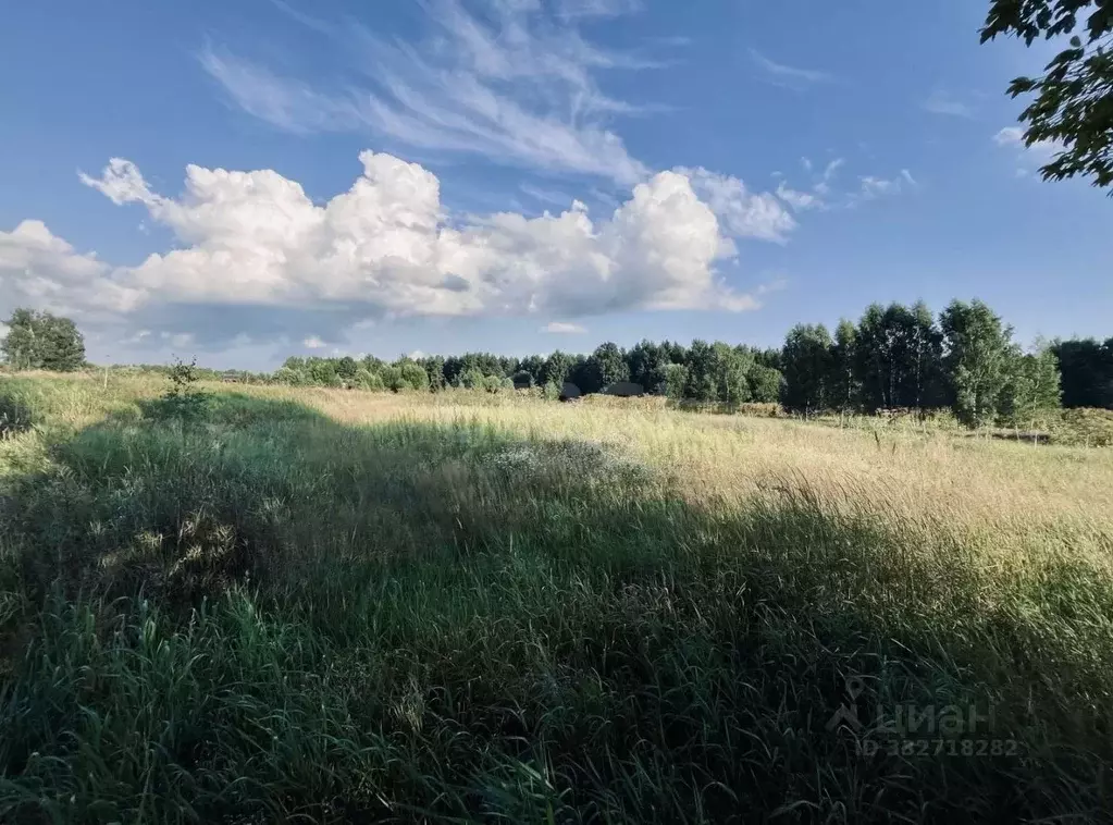 Участок в Ленинградская область, Киришский район, Будогощское ... - Фото 1