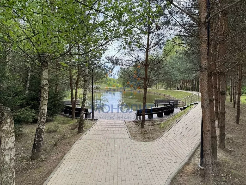 Участок в Москва д. Большое Свинорье, 4 (7.4 сот.) - Фото 2