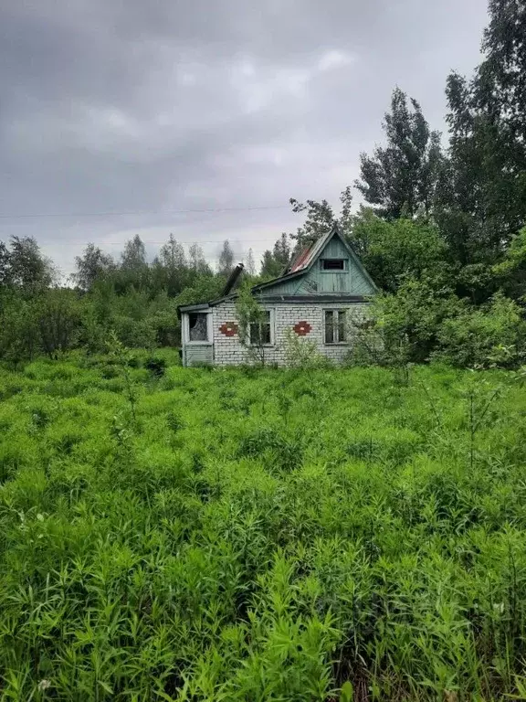 Дом в Нижегородская область, Бор Сельхозтехника СНТ,  (30 м) - Фото 1