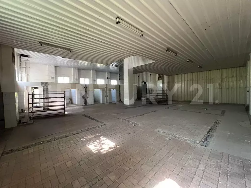 Помещение свободного назначения в Липецкая область, Липецк Сселки мкр, ... - Фото 2