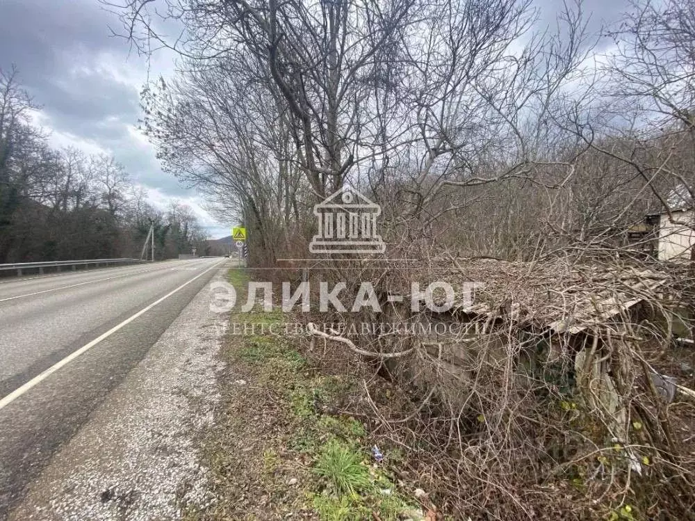 Участок в Краснодарский край, Туапсинский муниципальный округ, с. Бжид ... - Фото 2