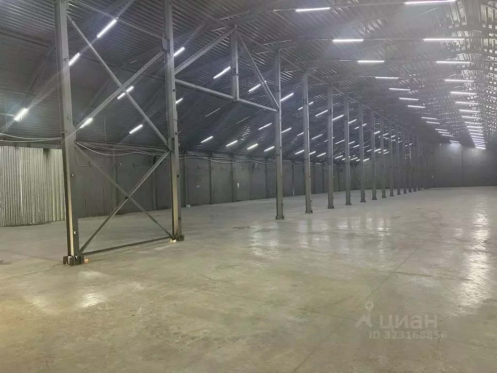 Склад в Московская область, Химки Сходня мкр, ул. Некрасова, 70 (1650 ... - Фото 2