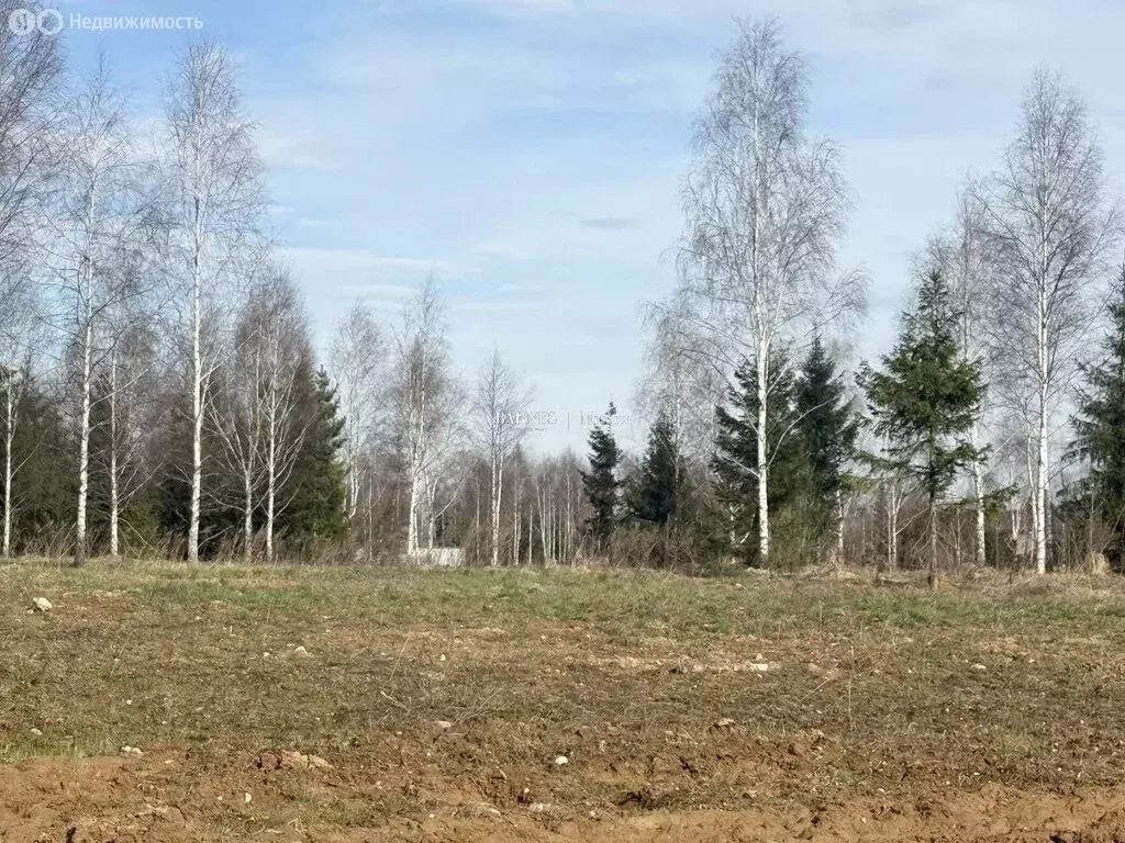 Участок в Москва, ЗАО, район Кунцево, квартал № 450 (45 м) - Фото 1