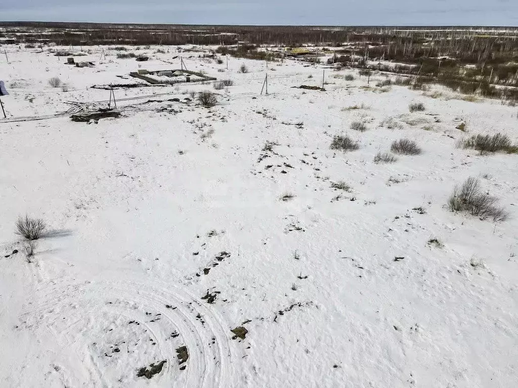 Участок в Тюменская область, Тюмень Большое Царево-2 СНТ,  (10.0 сот.) - Фото 1
