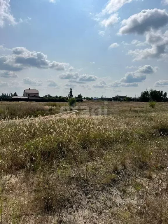 участок в воронежская область, борисоглебский городской округ, с. . - Фото 1